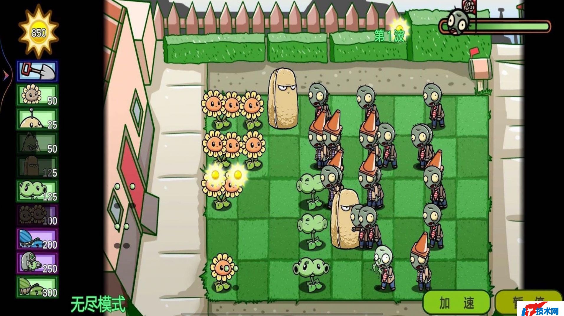 植物战争随机版游戏