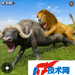 野生狮子模拟器3D