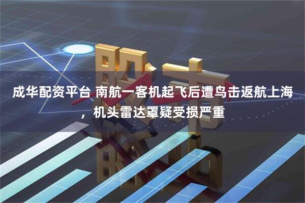 成华配资平台 南航一客机起飞后遭鸟击返航上海，机头雷达罩疑受损严重