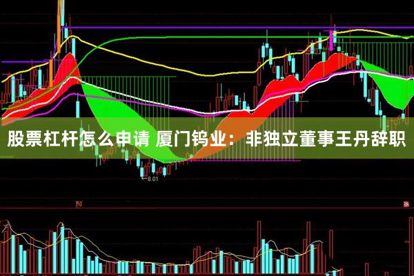 股票杠杆怎么申请 厦门钨业：非独立董事王丹辞职