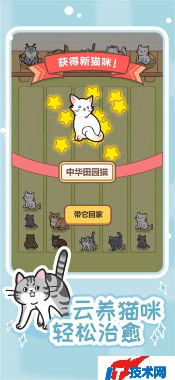 解压猫咪游戏手机安卓2024v1.0.0